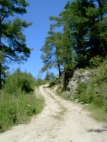 walking-trail